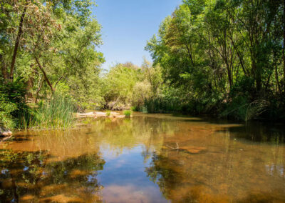 The Beach at Field at Oak Creek