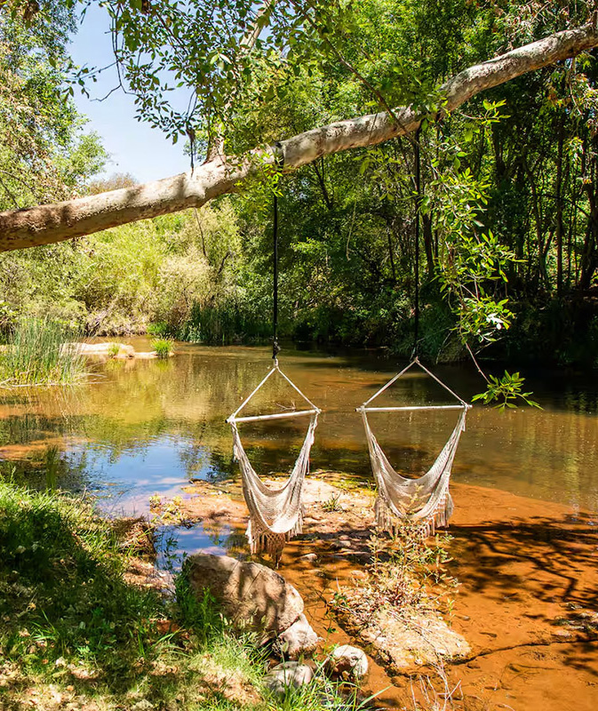 Hammocks on Oak Creek